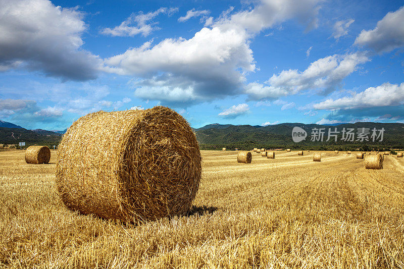 在田里卷起干草堆