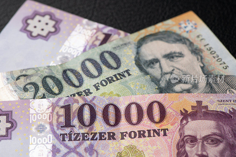 福林，2019年匈牙利新货币