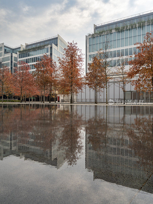 中国杭州商务区的现代建筑和公园中种植的红枫在倒影池中倒影