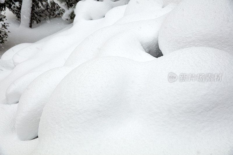 光滑的雪表面与小凸起的树