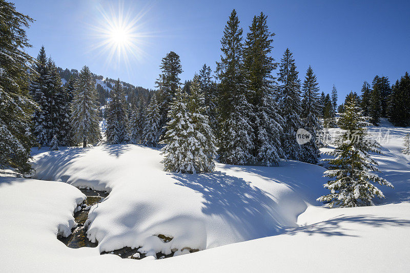 冬季的景观有白雪覆盖的森林和一条小河