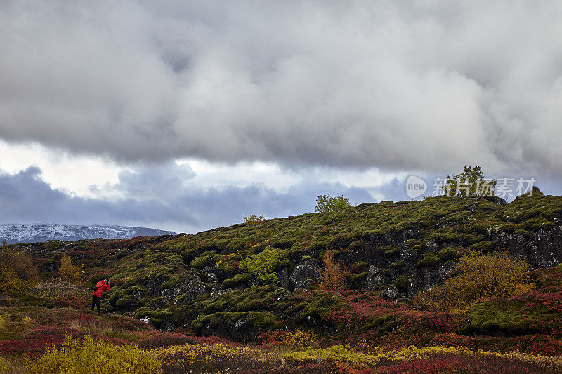 冰岛Thingvellir国家公园的秋天景观