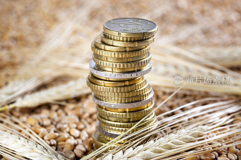 小麦价格上涨的概念