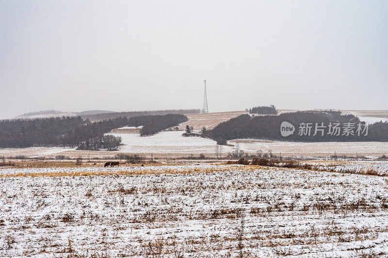 中国黑龙江宁静的雪乡风光