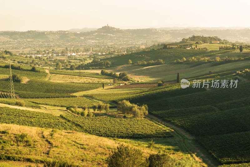 绿山托斯卡纳土地全景-复古色调