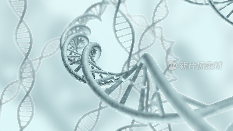 基因DNA链链3D渲染