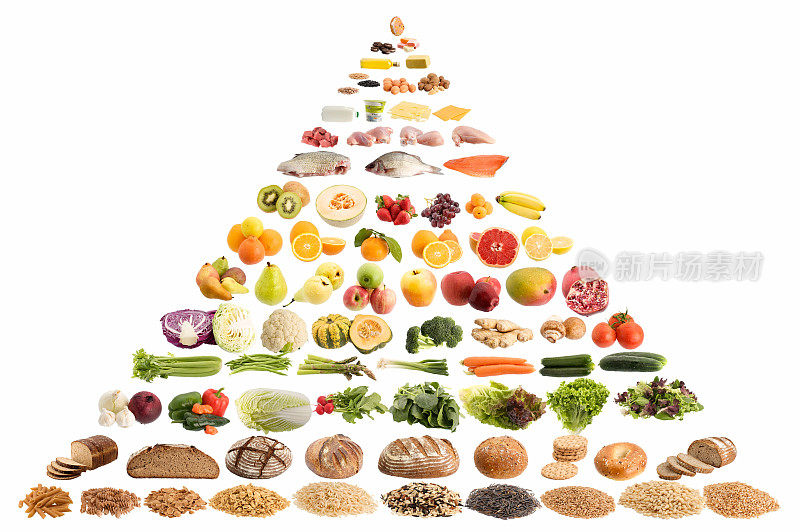 食物金字塔有很多例子