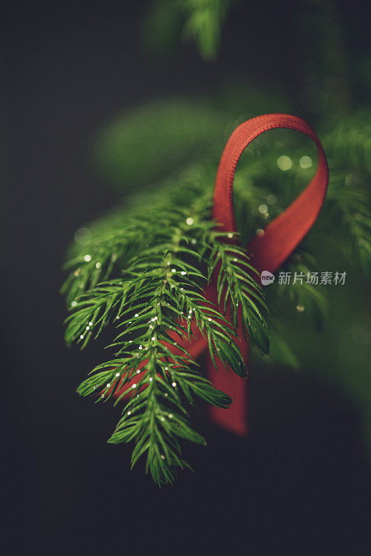 用红丝带装饰的圣诞树树枝，以提高人们对艾滋病毒的认识