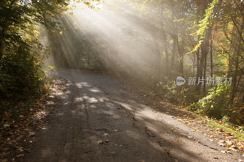 土路