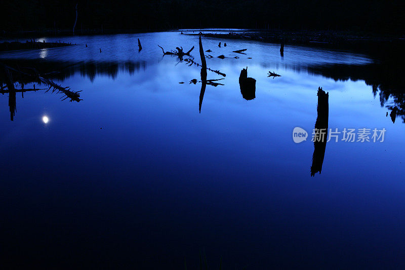 海狸池塘的月光