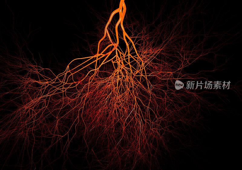 血管特写用红色和橙色表示