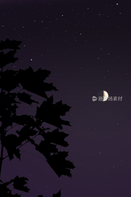 夜空