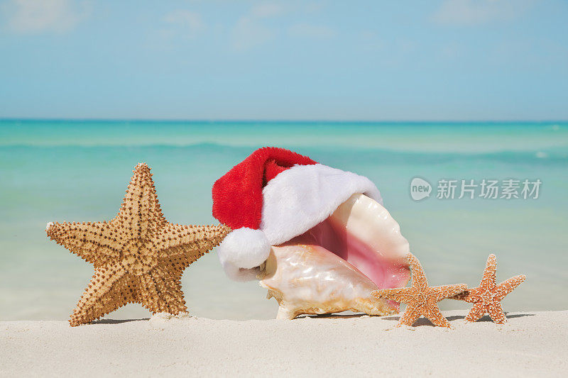 圣诞热带海滩家庭度假，加勒比海贝壳，海星，圣诞老人
