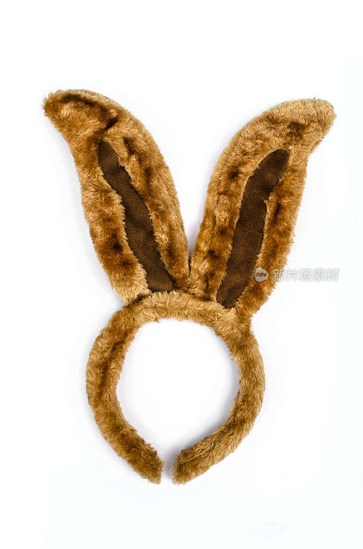兔子的耳朵王冠