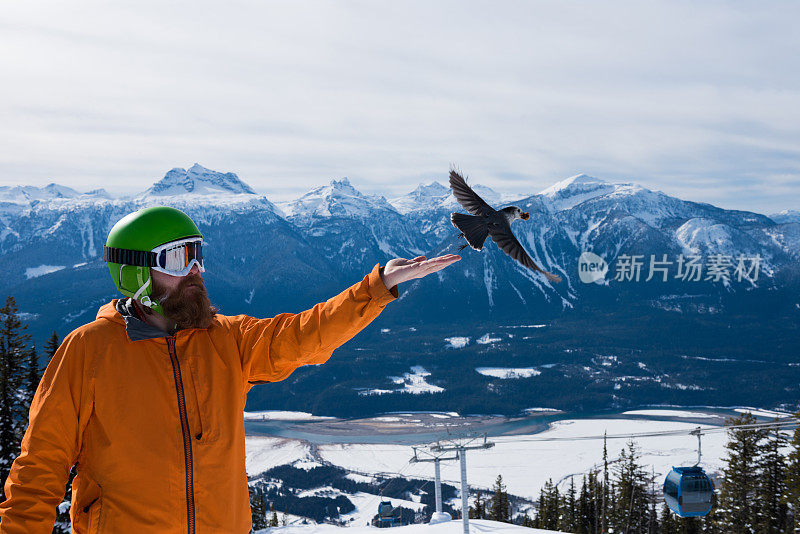 威士忌杰克在瑞夫斯托克山度假村