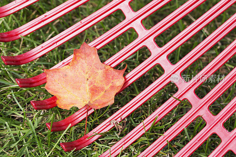秋天的红塑料耙和枫叶