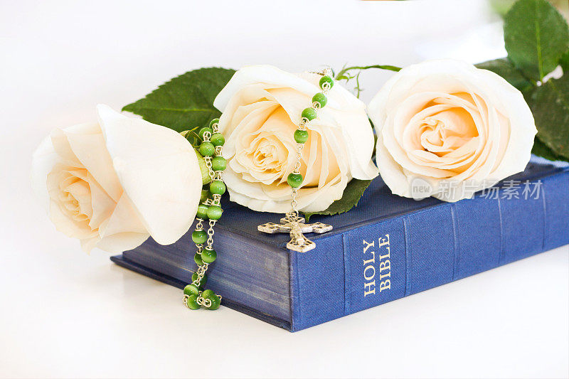 玫瑰和圣经