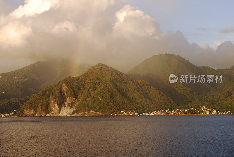 多米尼加雨林