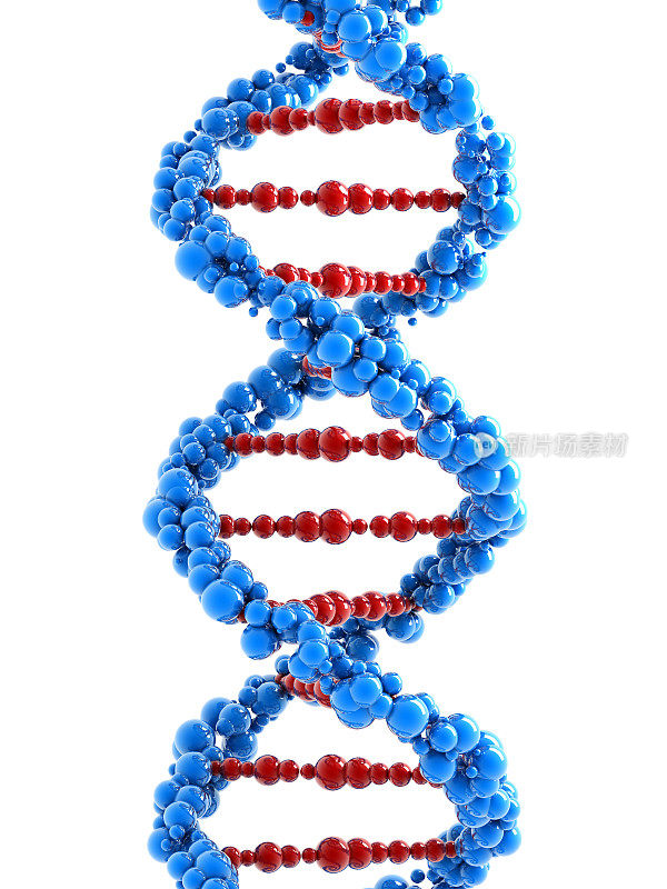 白色的DNA螺旋(包括剪切路径)