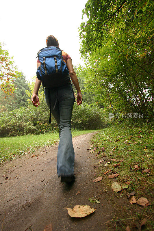 年轻女子在森林小径上徒步旅行