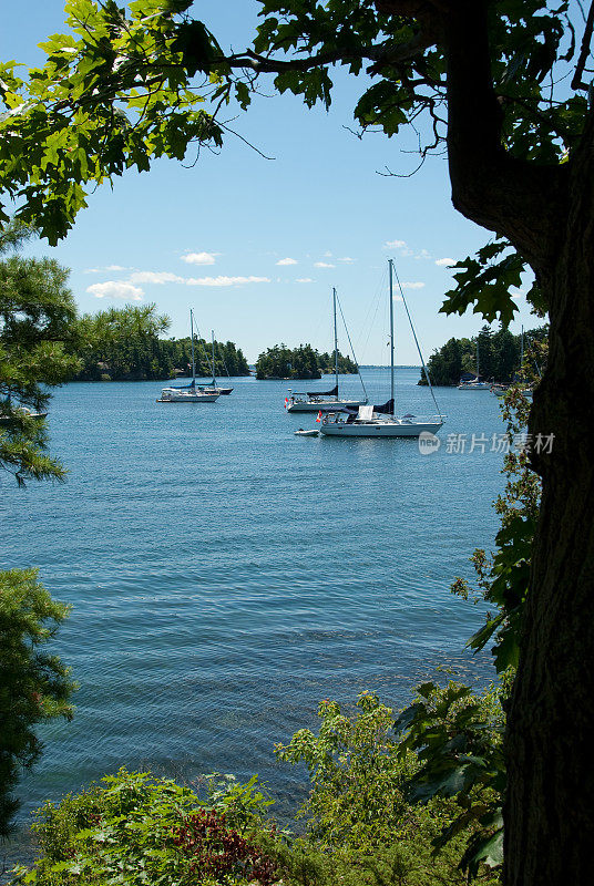 加拿大安大略省圣劳伦斯河上的帆船