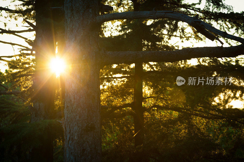 自然抽象化，夕阳给人以背光