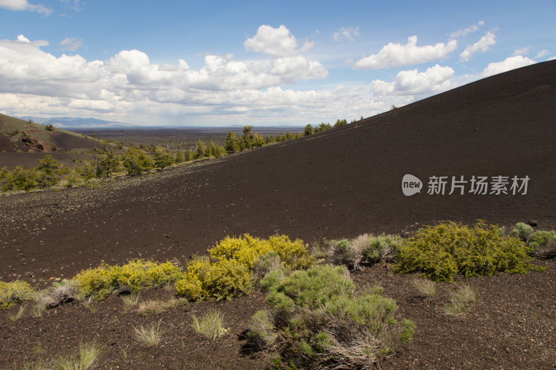 火山灰锥景观