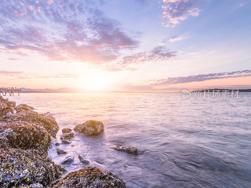 日落中的岩石海滩，普吉特湾，阿尔基海滩，西雅图，美国