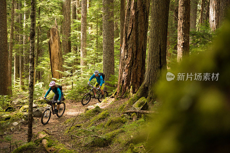 一对夫妇在一片古老的森林里骑自行车