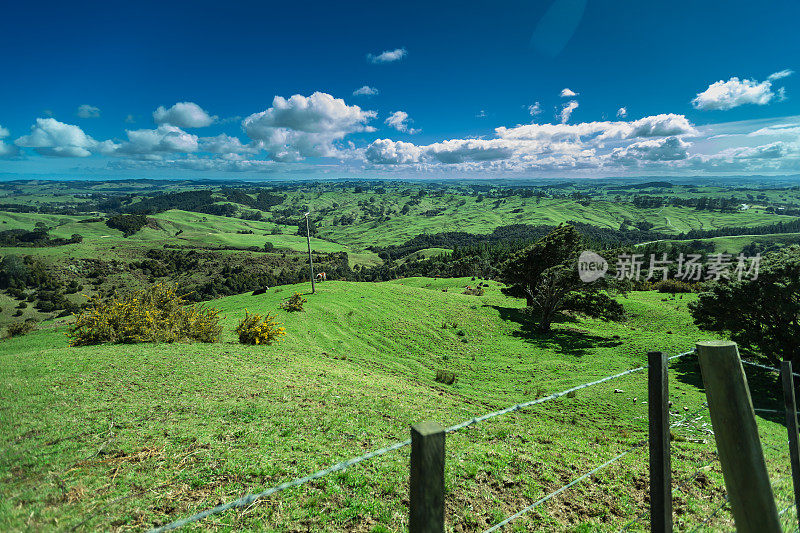 田园风光的新西兰