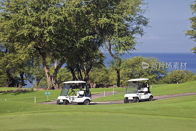 夏威夷的高尔夫球车