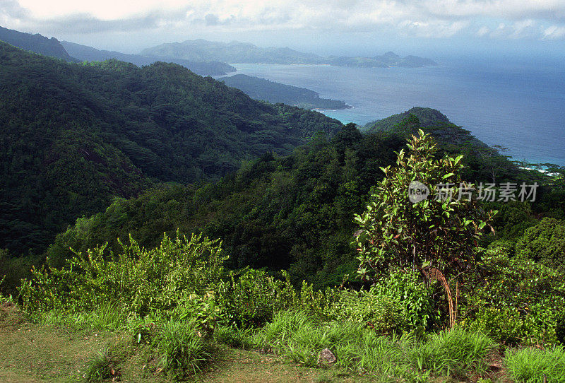 山和海