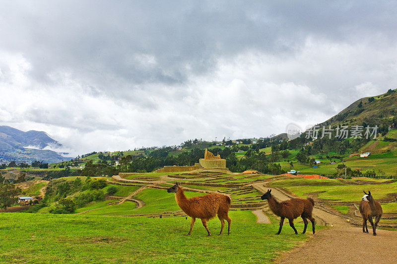 Ingapirca，印加古城遗址，厄瓜多尔