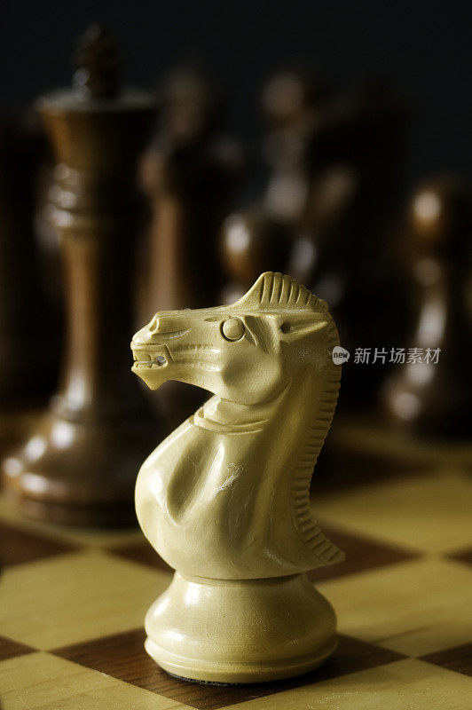 白色的象棋骑士