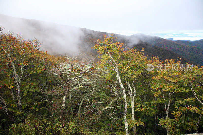 大烟山