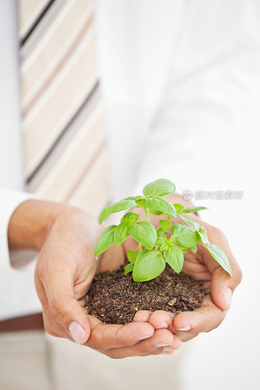 手里拿着一株正在生长的植物的商人