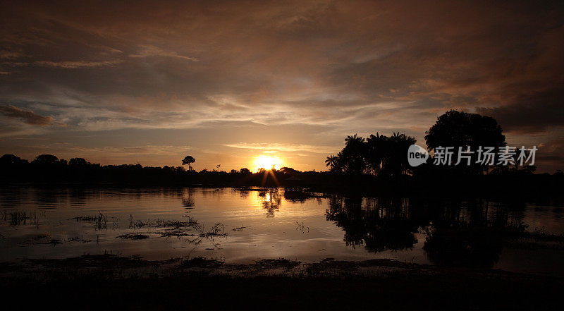 亚马逊河的日出
