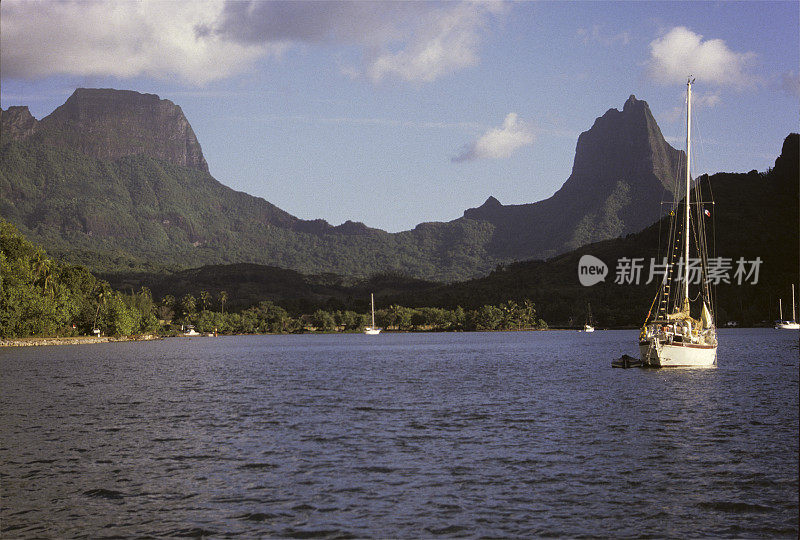 库克湾，莫雷亚岛，塔希提岛