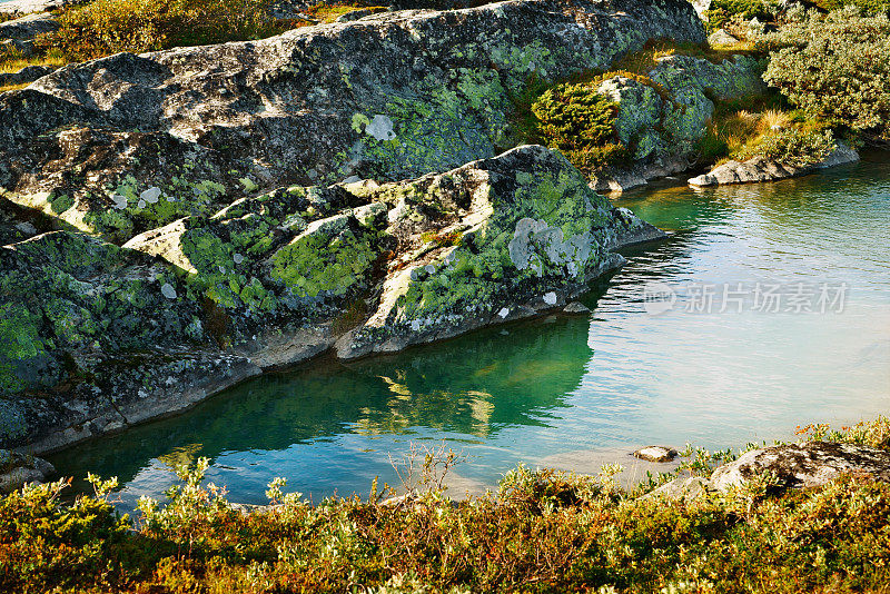 jotunhemenmountains河岸的岩石和植被特写