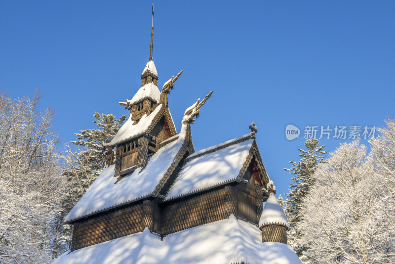 凡托夫特破碎的教堂和冬天下雪后的高大树木