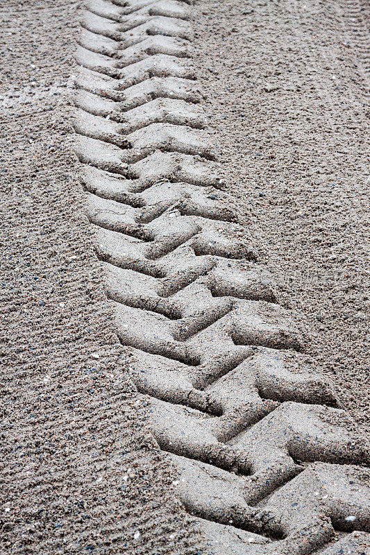 海滩上跟踪