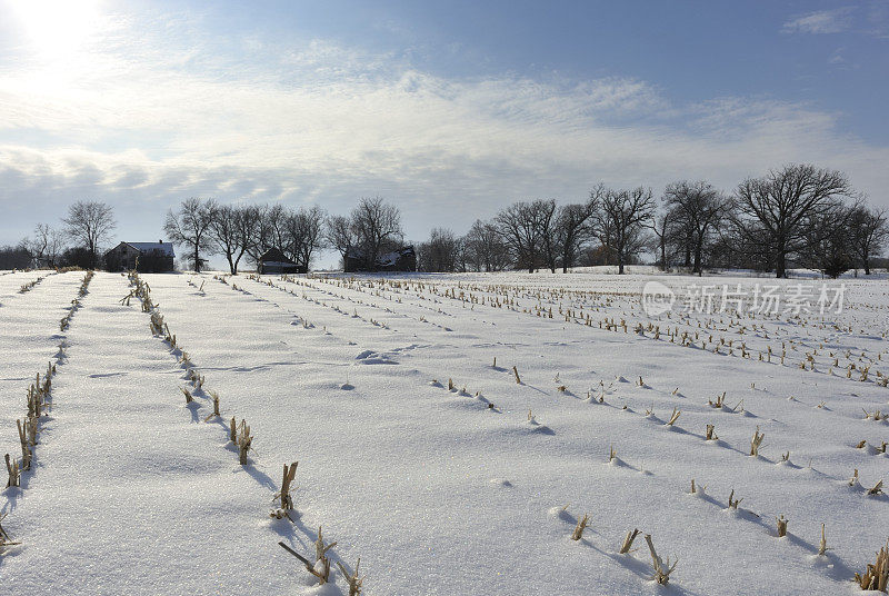 大雪扫荡农田