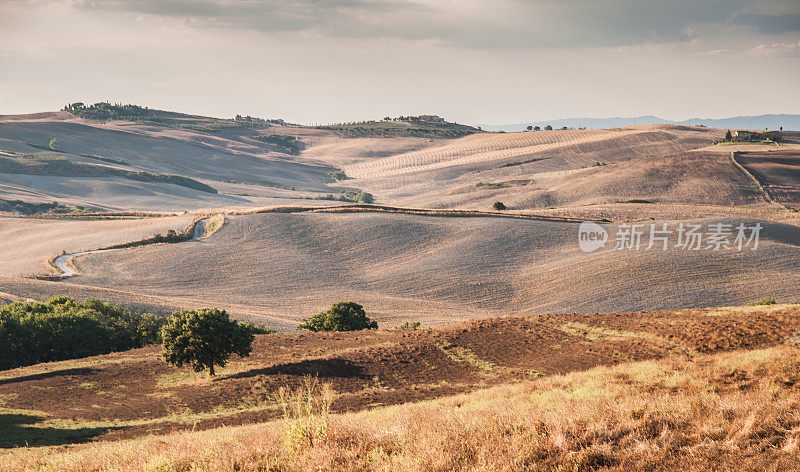 意大利(Tuscany)