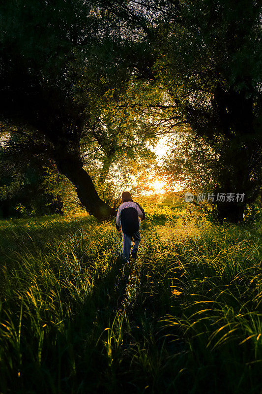 7岁的男孩在森林里走进夕阳。