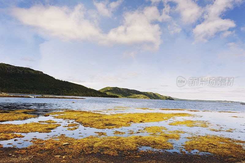 布雷顿角岛的风景