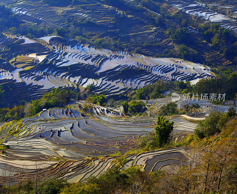 元阳梯田