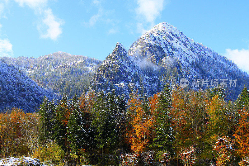 巴伐利亚阿尔卑斯山，田园诗般的松树林地下的雪景，雄伟的阿尔卑斯山山谷，戏剧性的巴伐利亚德国雪山全景，贝希特斯加登阿尔卑斯山，德国