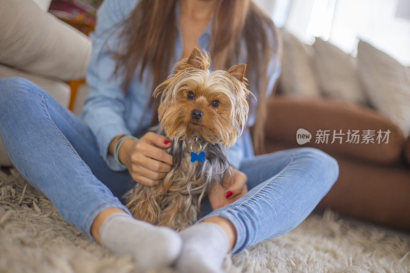 美女抚摸着她的狗