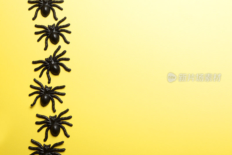 令人毛骨悚然的黑色塑料蜘蛛在黄色的背景