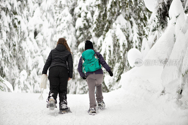 两个穿雪鞋的女人穿过加拿大不列颠哥伦比亚省的森林小径